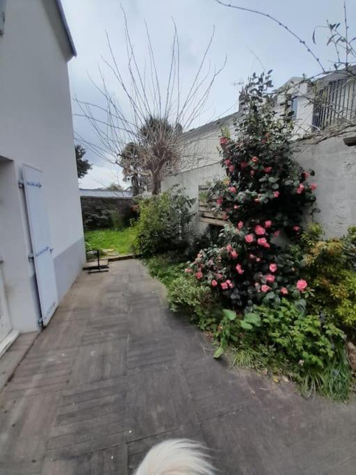 Вилла L'Octroi Nantes-6 Pers.-Jardin-Proche Tt Comm. Экстерьер фото